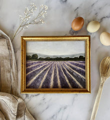 "Lavender Fields" Fine Art Print (Unframed)