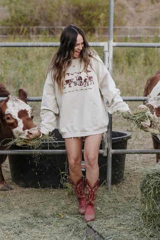 Cows Come Home (Chocolate) Embroidered Sweatshirt