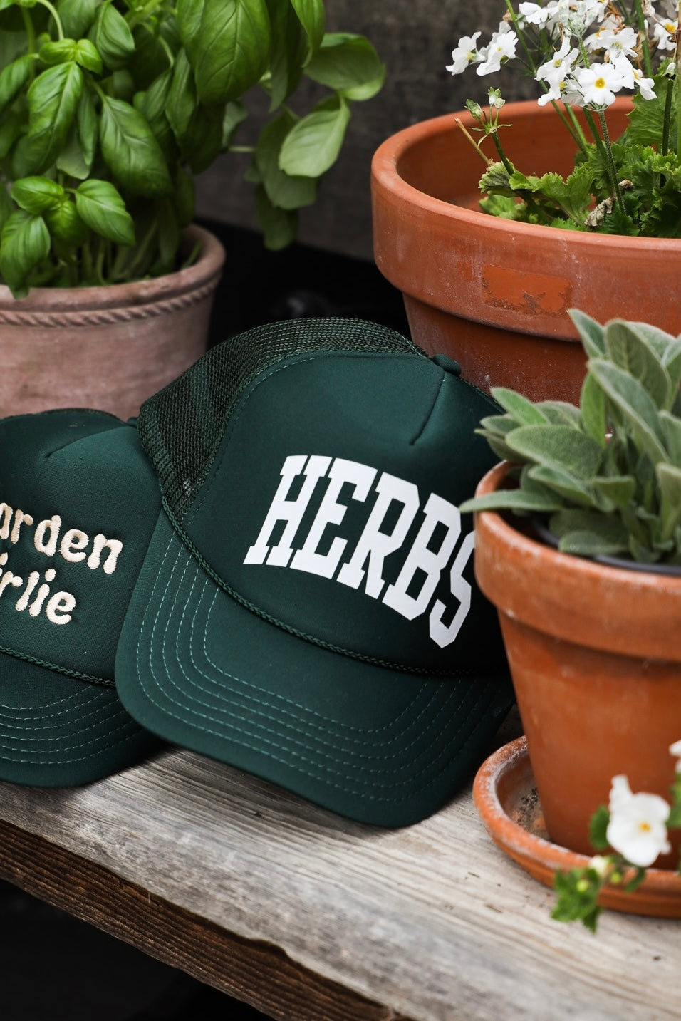 HERBS Trucker Hat