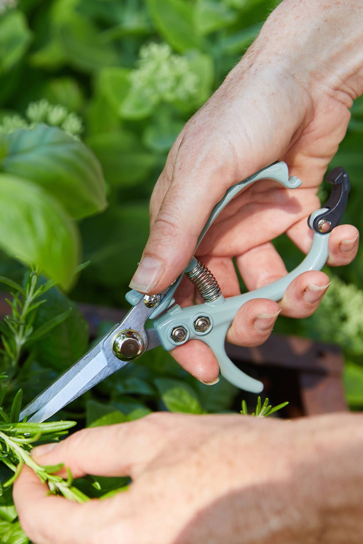 Garden Shears