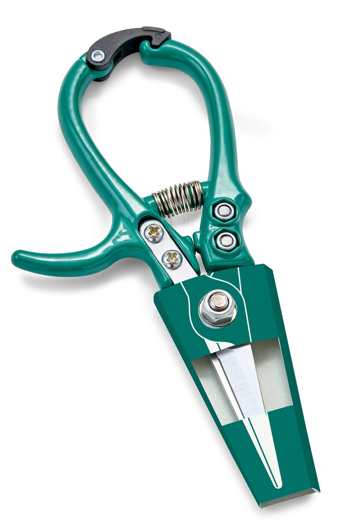 Teal garden shears on a white background