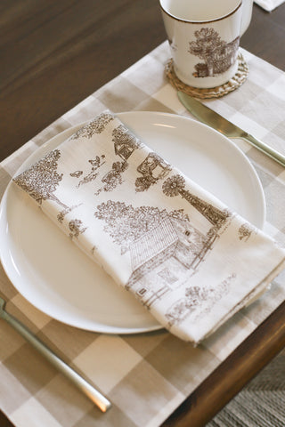 Brown + Cream Gingham Placemats (set of 2)