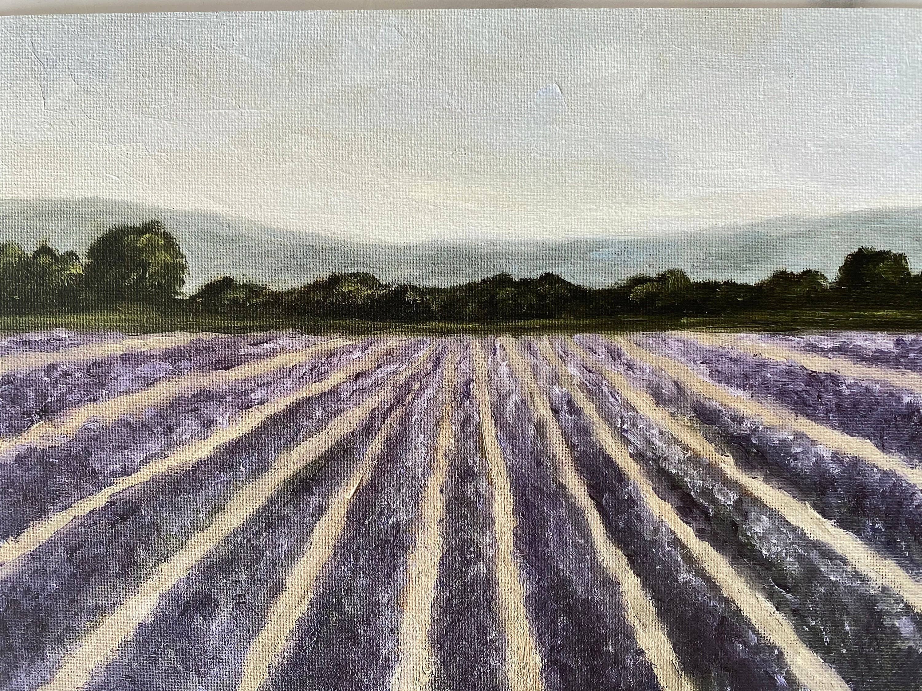 "Lavender Fields" Fine Art Print (Unframed)
