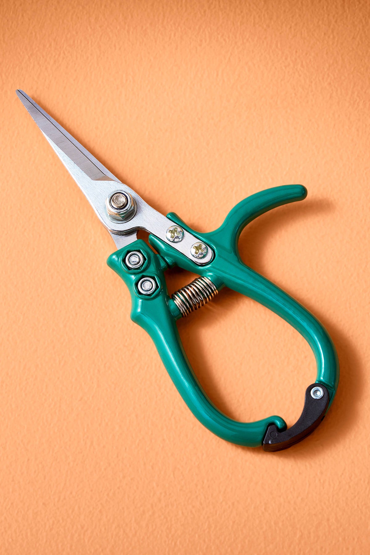 Teal gardening shears on an orange background