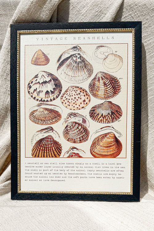 Seashells 10"x 14"