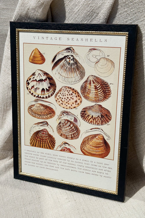 Seashells 10"x 14"