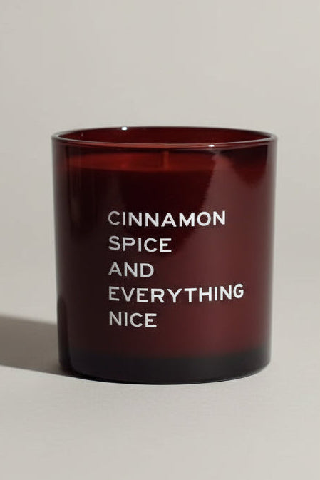 Cinnamon Spice and Everything Nice Candle