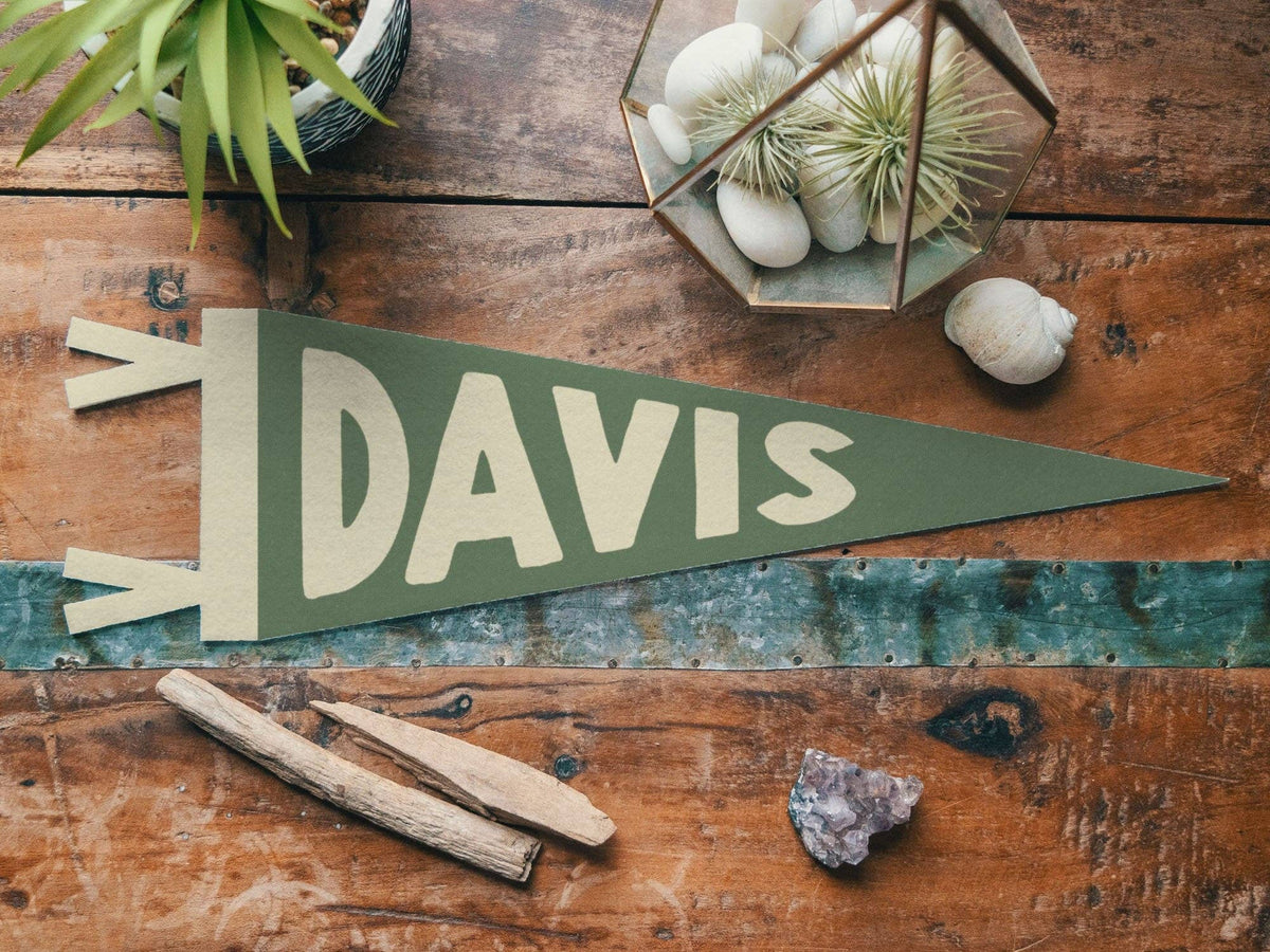 Howdy Felt Pennant
